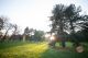 _MG_6096.jpg