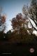 _MG_6117.jpg