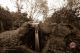 _MG_6129.jpg