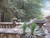 Nome del file=107___Villa_Clerici.jpg
Dimensione del file=39KiB
Dimensioni=400x300
Aggiunta il=Mag 30, 2009 107___Villa_Clerici.jpg
