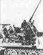 sdkfz6_fotobn.jpg