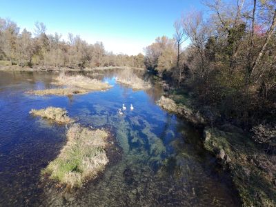 DJI_20251024151737_0003_D.JPG