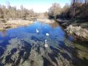 DJI_20251024151755_0005_D.JPG